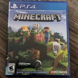 Minecraft video game PS4